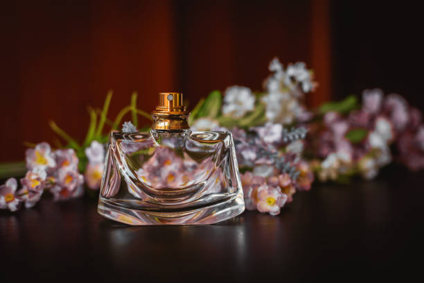 Parfum | Роль феромонов в парфюмерии: Мифы и реальность